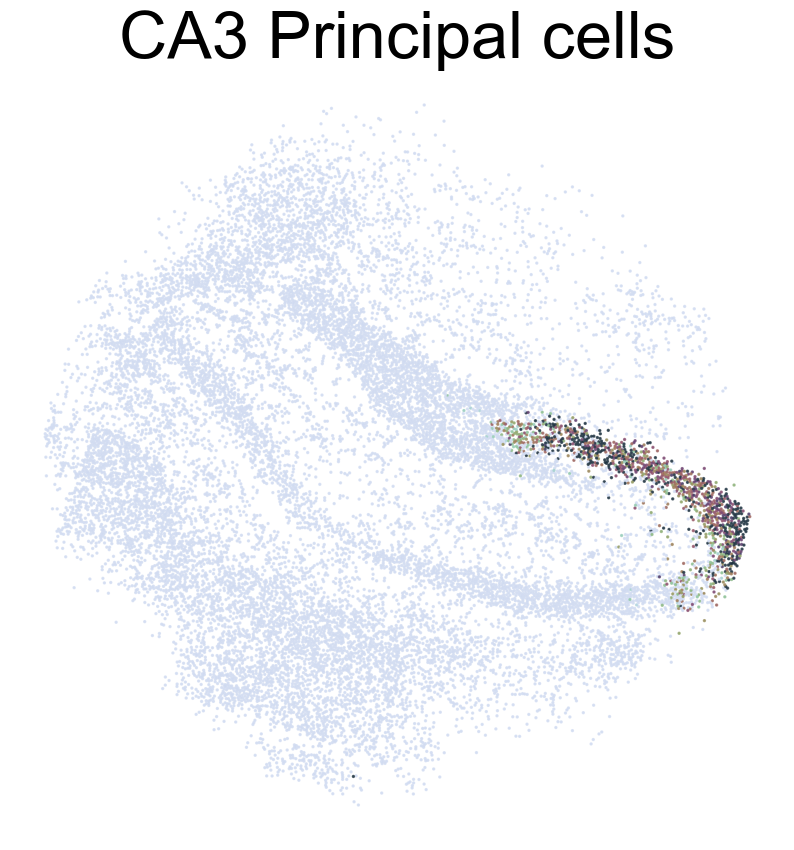 ../_images/Tutorial_Tutorial_SI_1_42_5.png